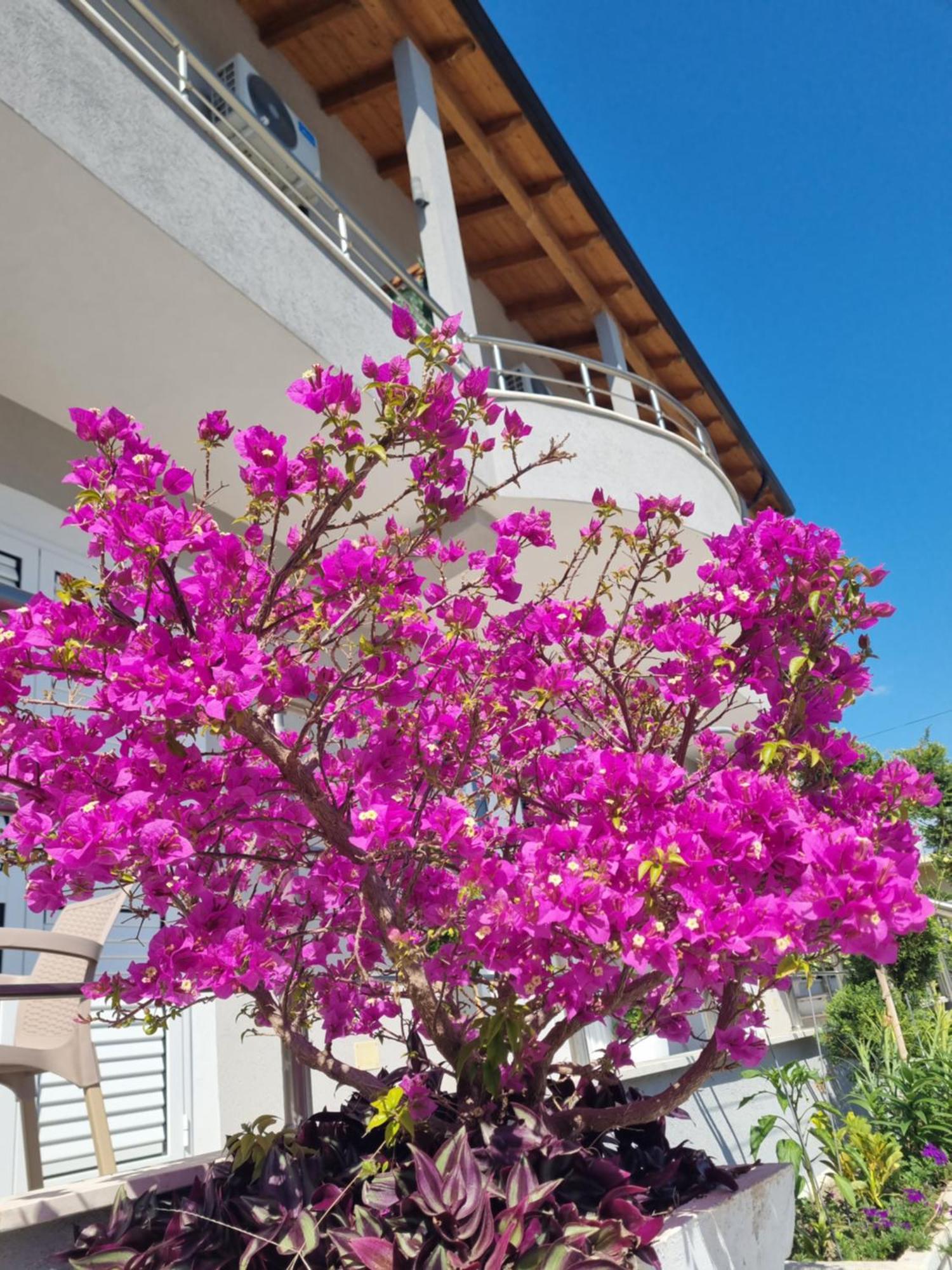 Vila Soleil Avlonya Dış mekan fotoğraf